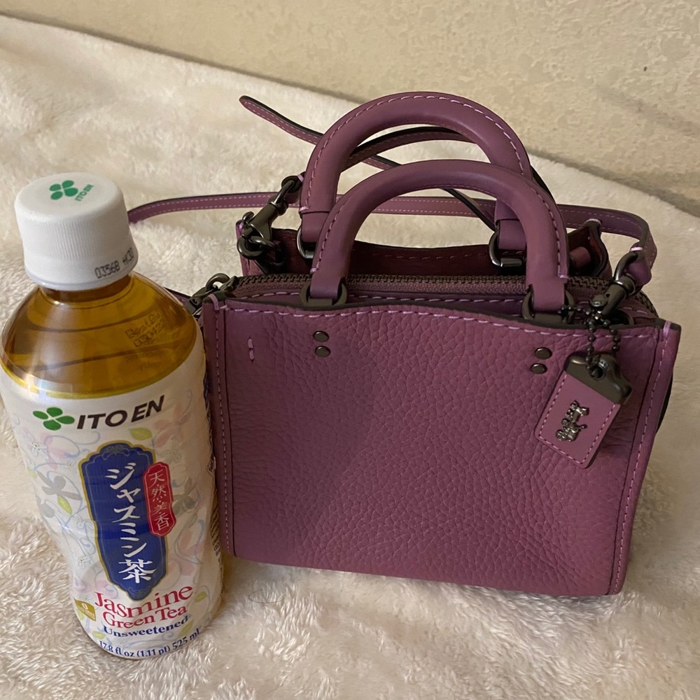 Coach swagger mini
